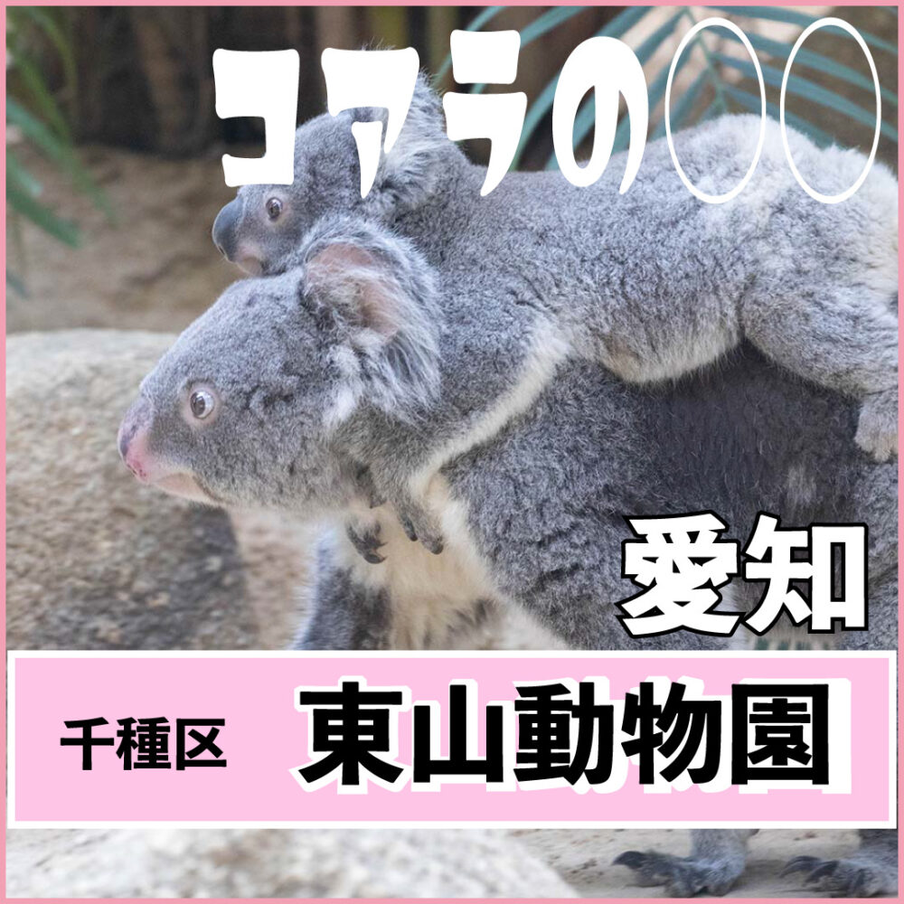 東山動物園